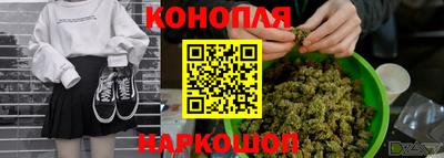 прущие грибы Конаково