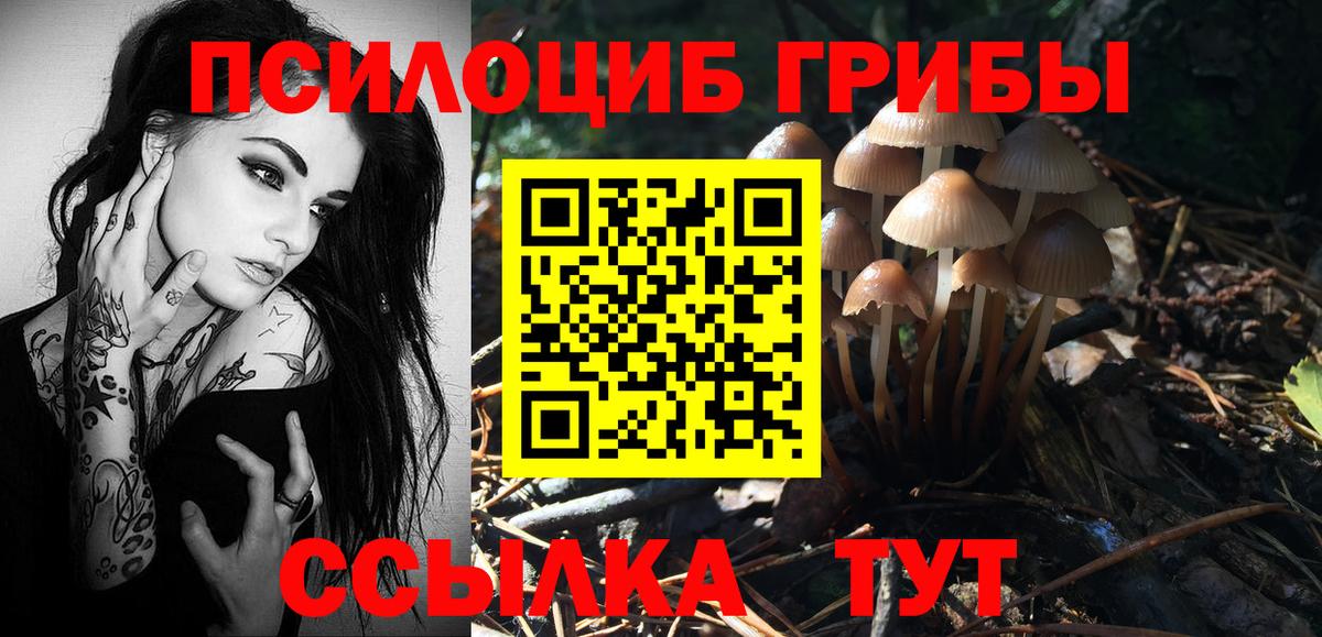 Галлюциногенные грибы GOLDEN TEACHER  Вход с VPN  Кизляр 