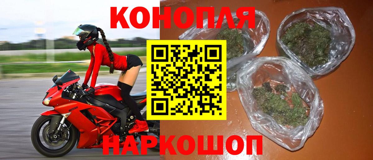 Конопля гибрид Кизляр