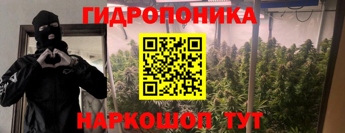 Конопля индика  Шишки марихуана Ganja  Кизляр  Шишки марихуана планчик  Вход с VPN  Марихуана Amnesia 